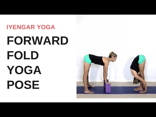 FORWARD FOLD yoga pose - Uttanasana PROGRESSION | Iyengar Yoga ...